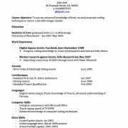 Free chronological resume template